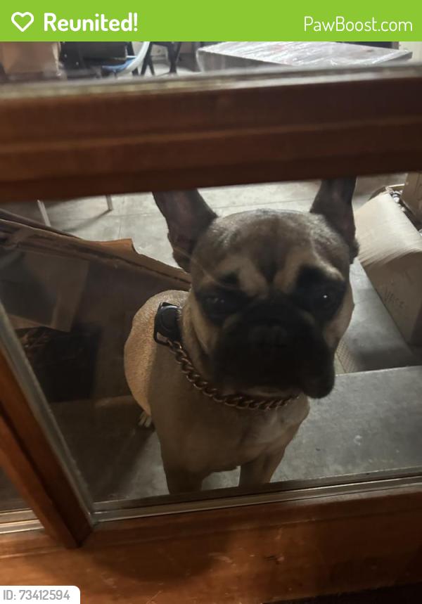 Reunited Male Dog last seen Finegrove, Hacienda Heights, CA 91745