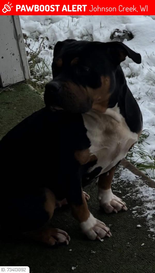 Lost Female Dog last seen SE 82nd Crystal springs blvd near Flavel and Johnson creek, Johnson Creek, WI 53038