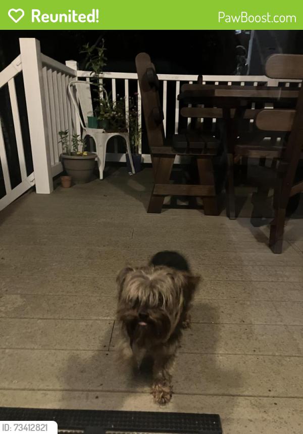 Reunited Unknown Dog last seen Russell Ct and Quiet Hills Ln, Effort, PA 18330