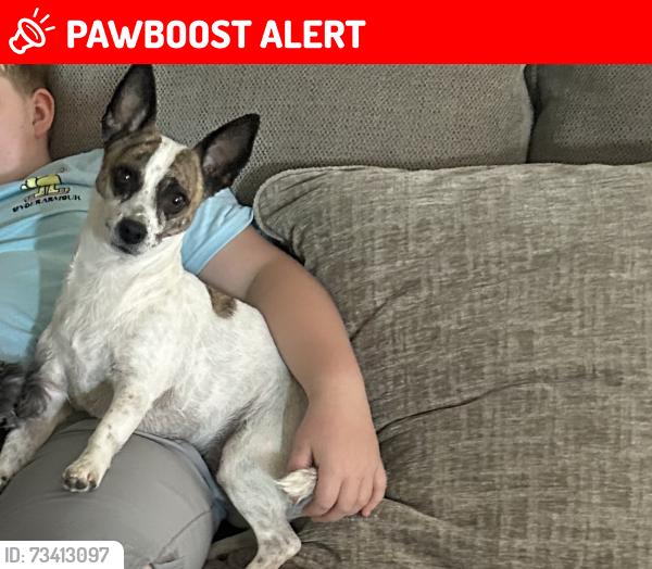 Lost Male Dog last seen Stubbs ln pride la, East Baton Rouge Parish, LA 70770
