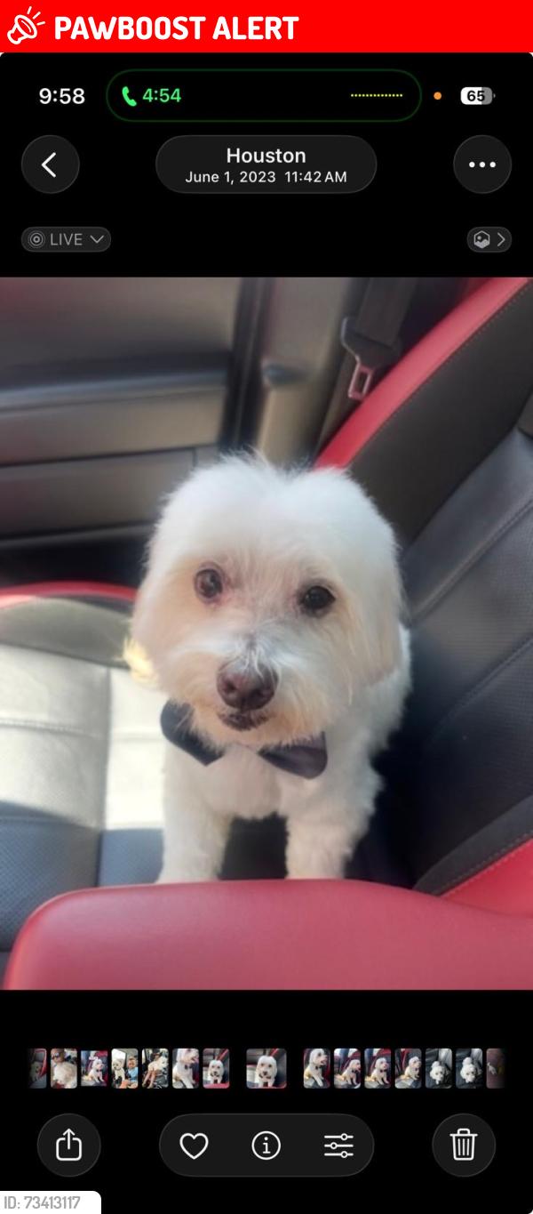 Lost Male Dog last seen Grand mission, Fort Bend County, TX 77407