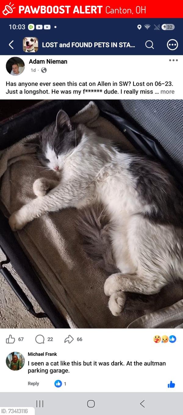 Lost Male Cat last seen Its right off Allen St. SW. Going up toward Cleveland Ave S., Canton, OH 44707