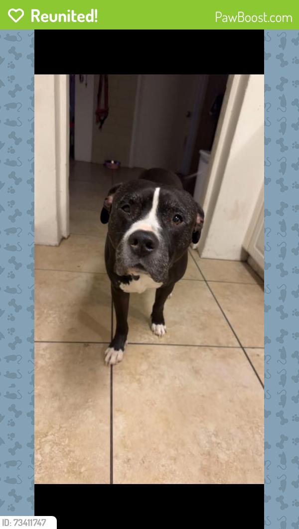 Reunited Male Dog last seen Near E San Fernando Dr, Scottsdale, AZ 85255, USA, Scottsdale, AZ 85255