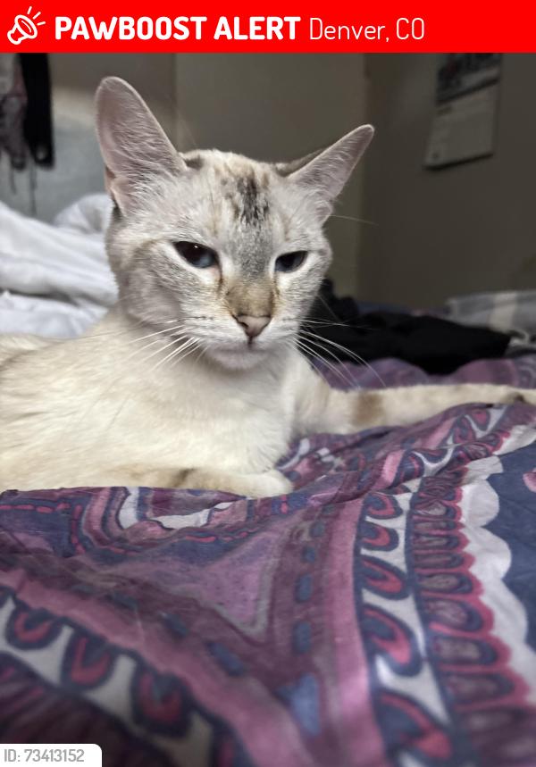 Lost Female Cat last seen Near W Nevada Dr, Denver, CO 80228