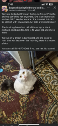 Lost Female Cat last seen 11th, Springfield, OR 97477