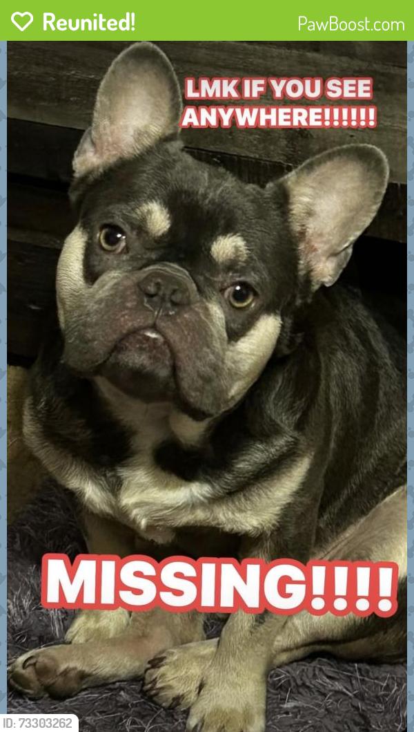 Reunited Unknown Dog last seen Misty winds, Corpus Christi, TX 78401