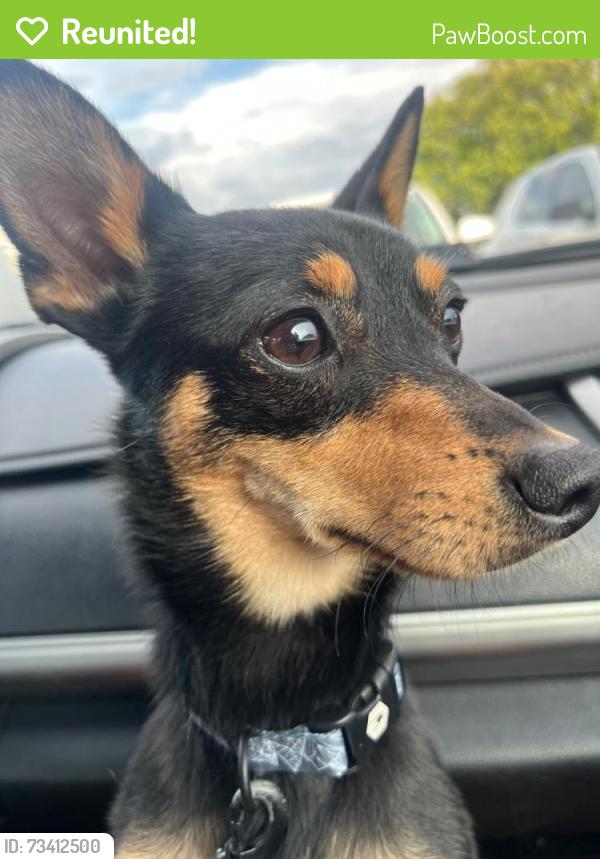 Reunited Male Dog last seen Near Arborwood apt D, Columbus OH 43229, Columbus, OH 43229