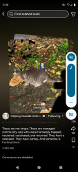 Lost Male Cat last seen Enterprise drive encore apmts, Meriden, CT 06450