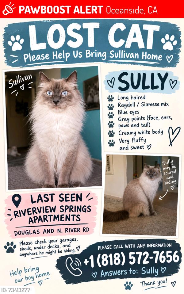 Lost Male Cat last seen Douglas & North River Road, Oceanside, CA 92058