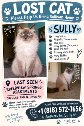 Lost Male Cat last seen Douglas & North River Road, Oceanside, CA 92058