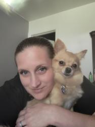 Lost Female Dog last seen Frederickson area 160th and woodland, Puyallup, WA 98375