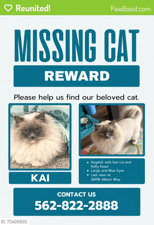 Reunited Male Cat last seen Soledad canyon, Santa Clarita, CA 91351