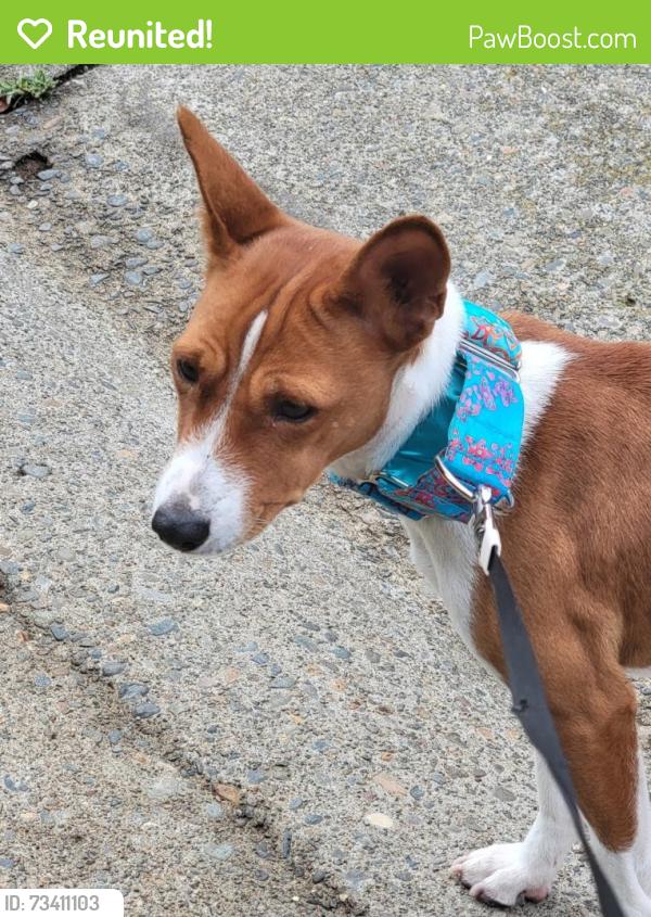 Reunited Female Dog last seen Near Walnut Ave, Carmichael, CA 95608, USA, Carmichael, CA 95608