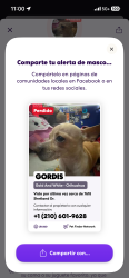 Lost Male Dog last seen San Antonio tx, San Antonio, TX 78223