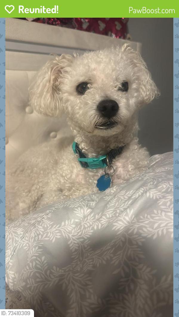Reunited Male Dog last seen Near Van Nuys Blvd, Los Angeles, CA 91402