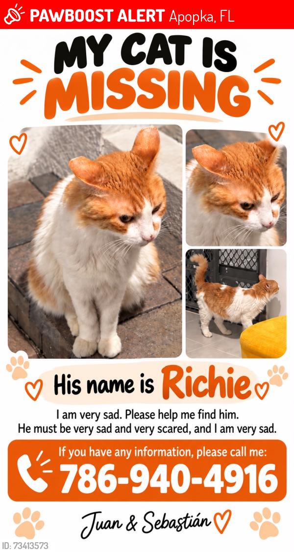 Lost Male Cat last seen Near Rider Rain Lane, Apopka, FL 32703