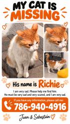 Lost Male Cat last seen Near Rider Rain Lane, Apopka, FL 32703