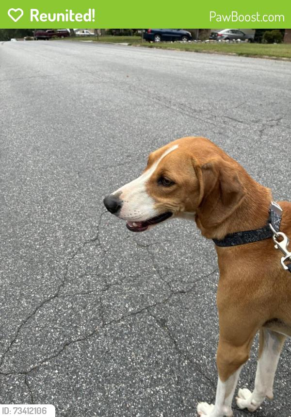Reunited Male Dog last seen Reams and Rosegill, Richmond, VA 23236