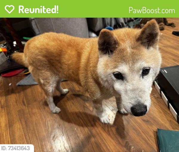 Reunited Male Dog last seen Grant Road and Foothill expressway, Los Altos, CA 94024