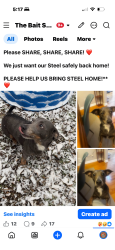 Reunited Male Dog last seen The Bait Shop, Columbus, GA 31904