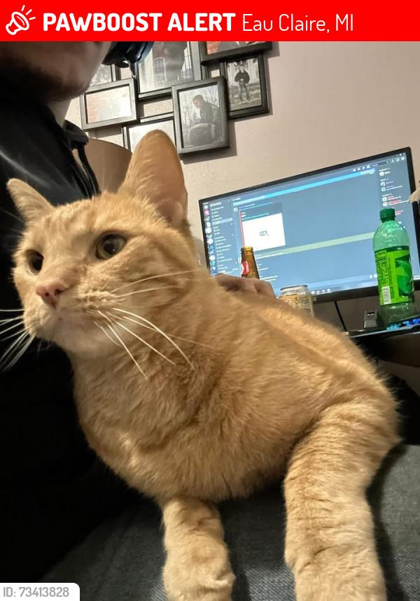 Lost Male Cat last seen normally stays around neighborhood by Eau Claire high school, Eau Claire, MI 49111