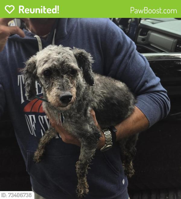 Reunited Female Dog last seen Rt 372 & susquehannock dr, Martic Township, PA 17532