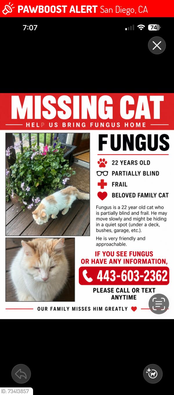 Lost Male Cat last seen September, San Diego, CA 92110