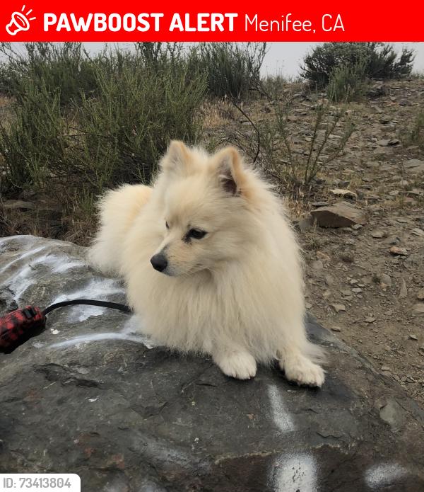 Lost Male Dog last seen Murrieta Rd, Menifee, CA 92585