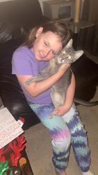 Lost Female Cat last seen 69th street, Lemon Grove, CA 91945