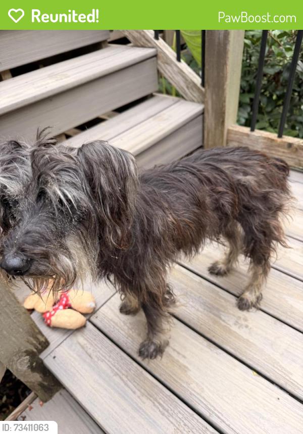 Reunited Male Dog last seen Woodford Drive, Birmingham, AL 35242