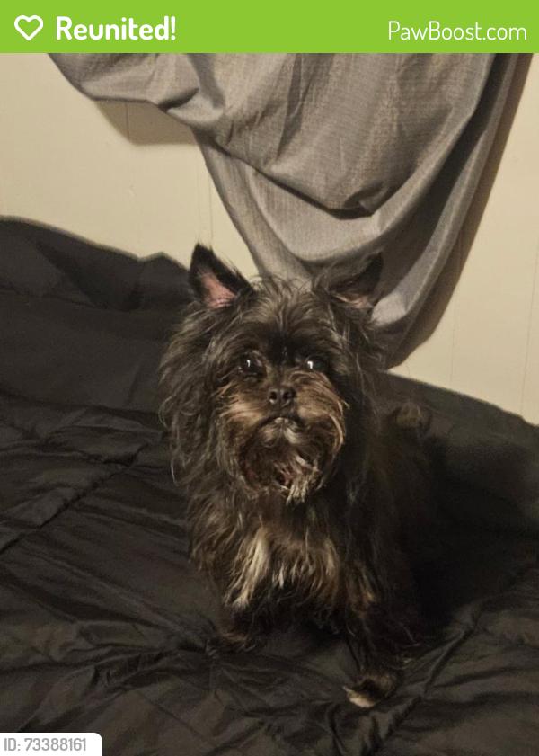 Reunited Female Dog last seen Cedar and 157th St W, Apple Valley, MN 55124