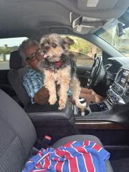 Reunited Unknown Dog last seen Monterey, Corona, CA 92882