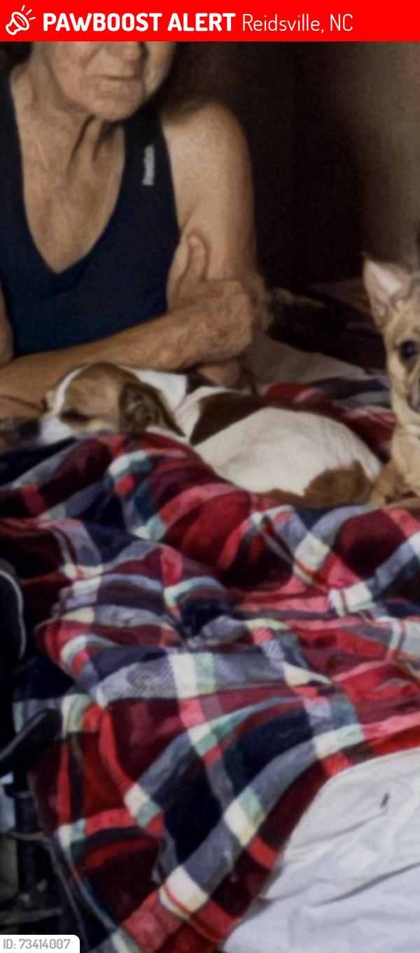 Lost Female Dog last seen Huffs Store Reidsville on Barnes St, Reidsville, NC 27320