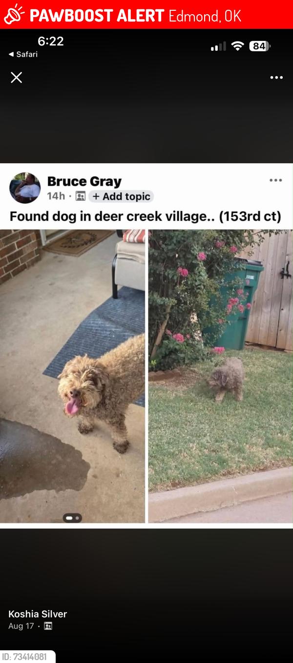 Lost Male Dog last seen 164th and McArthur Blvd, Edmond, OK 73013