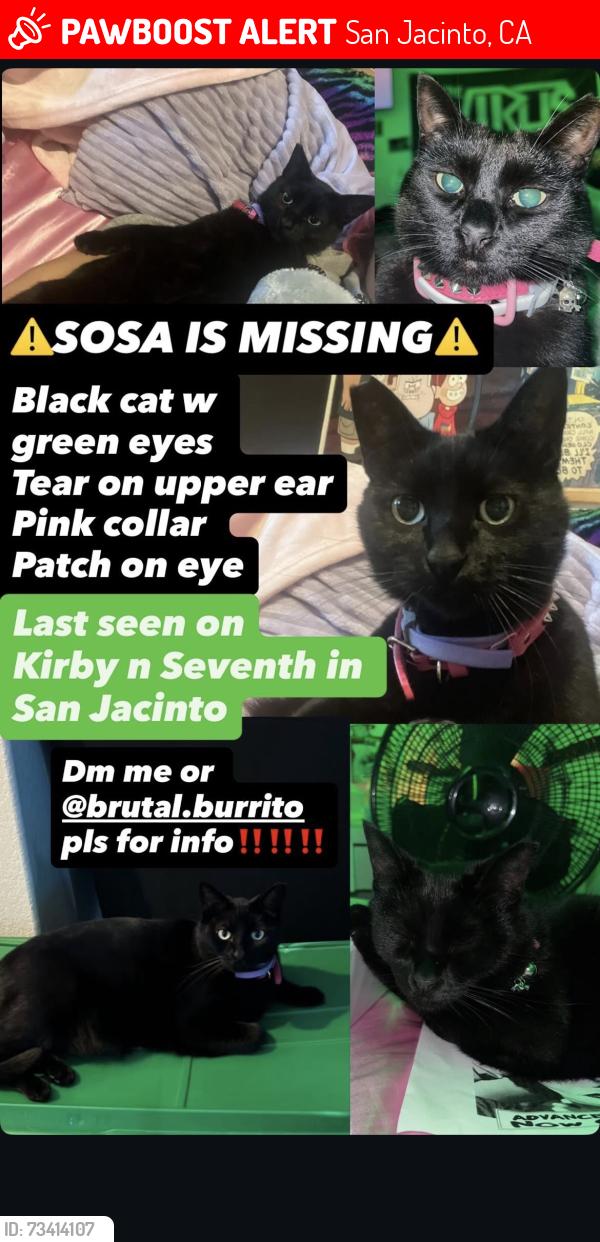Lost Female Cat last seen Kirby and 7th st San Jacinto ca, San Jacinto, CA 92583