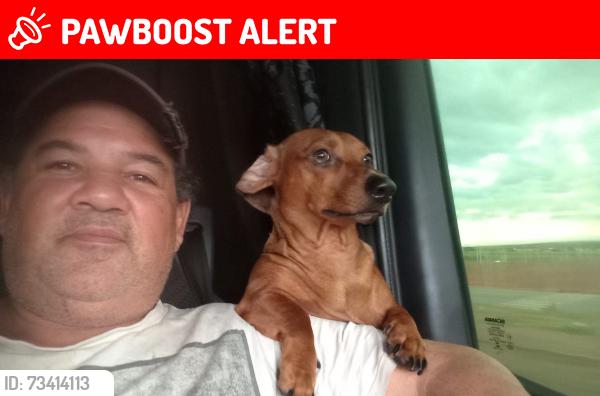 Lost Male Dog last seen Predinhos, Parque Industrial Um, PR 86990-000