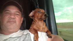 Lost Male Dog last seen Predinhos, Parque Industrial Um, PR 86990-000