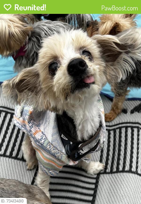 Reunited Male Dog last seen Saranac Ave and Thorne, La Mesa, La Mesa, CA 91942