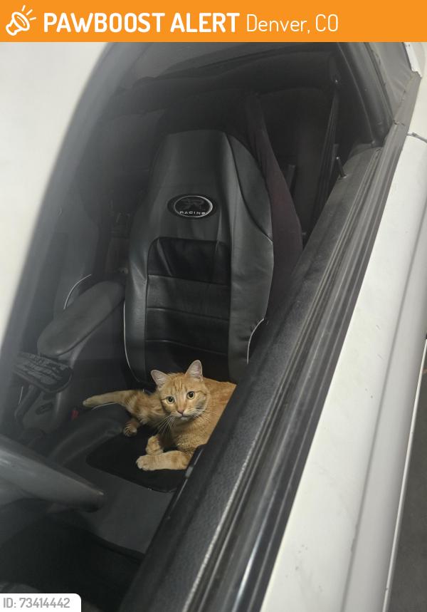 Found/Stray Male Cat last seen 14th Quebec Street, Denver, CO 80220