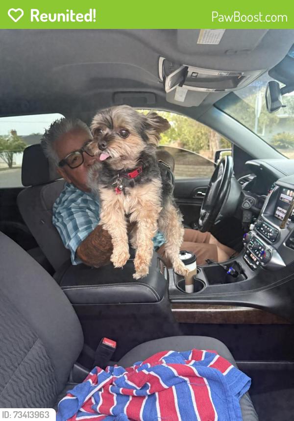 Reunited Unknown Dog last seen Monterey, Corona, CA 92882