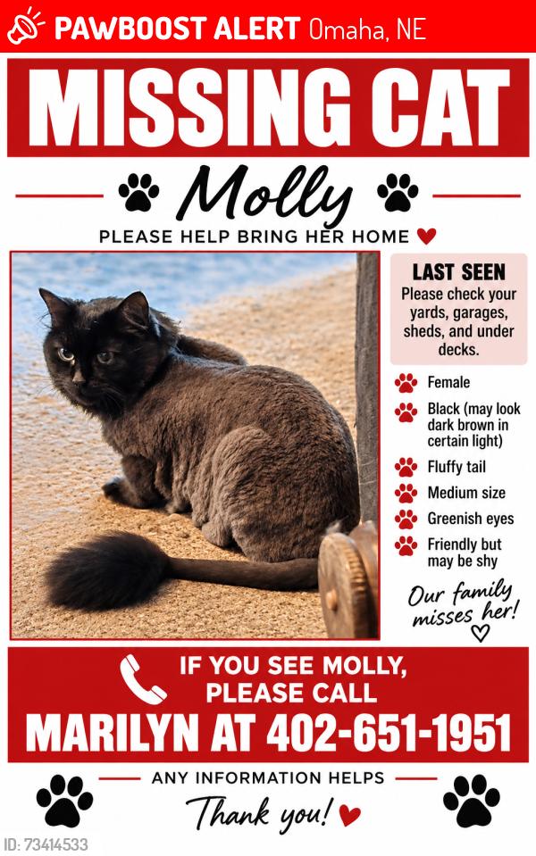 Lost Female Cat last seen 192nd & Q St, Elkhorn NE, Elkhorn, NE 68022