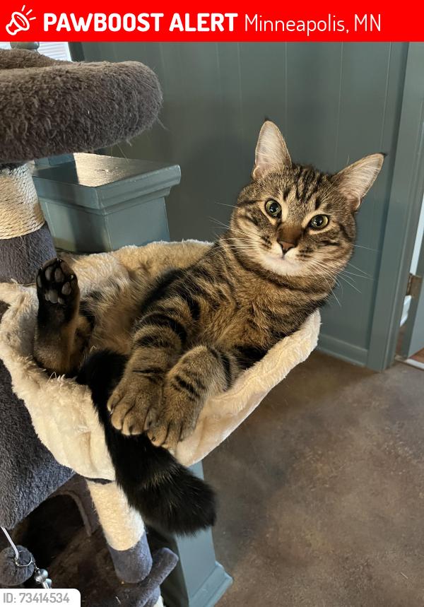 Lost Male Cat last seen Upton and 37th, Minneapolis, MN 55412