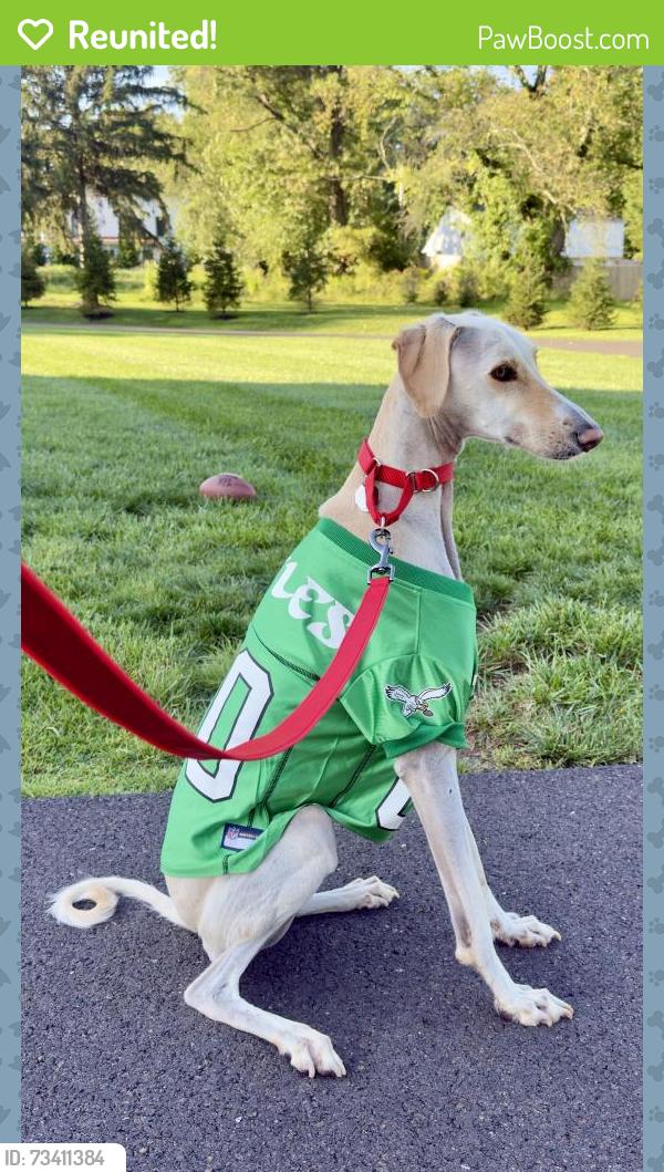 Reunited Male Dog last seen Central Park Doylestown, Doylestown Township, PA 18901