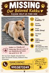 Lost Female Dog last seen Apex the kremlin, Ghaziabad, UP 201009