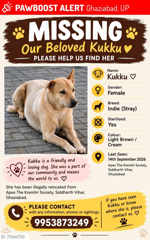 Lost Female Dog last seen Apex the kremlin, Ghaziabad, UP 201009