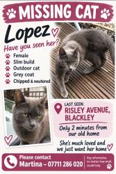 Reunited Female Cat last seen Slack Road, Greater Manchester, England M9 8EE