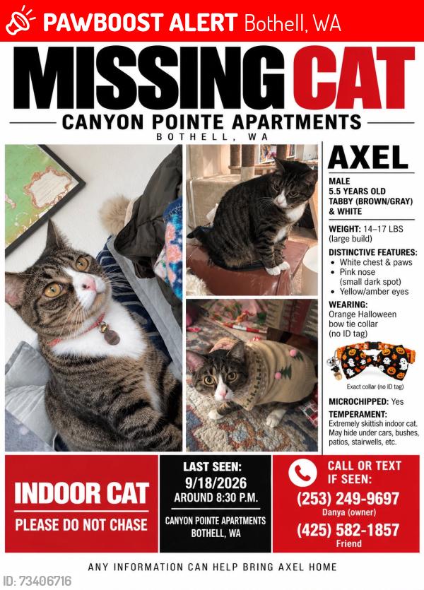 Lost Male Cat last seen 228th St SE, Canyon Pointe apmts, Bothell, WA, Bothell, WA 98021
