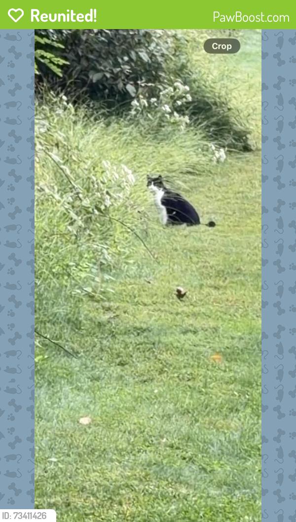 Reunited Unknown Cat last seen Skillman, Montgomery, NJ 08558, USA, Montgomery, NJ 08558
