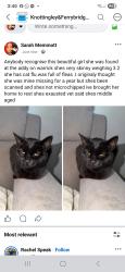 Found/Stray Unknown Cat last seen Warrick adventure playground, West Yorkshire, England 