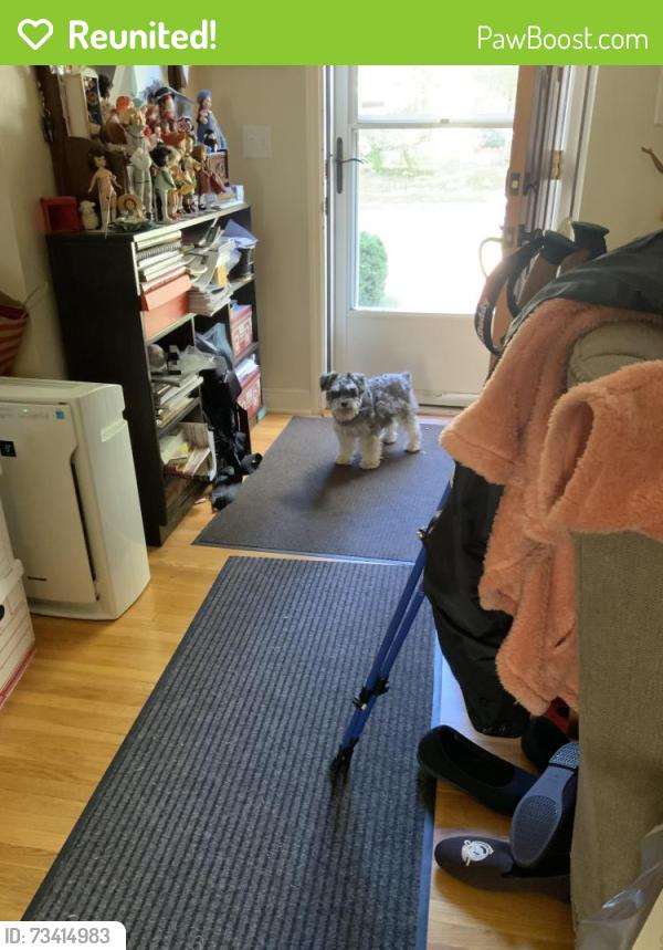 Reunited Female Dog last seen Cleveland Cretin Randolph, Saint Paul, MN 55116
